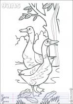 coloriage-oie-1